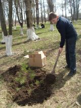 День древонасаждений - 2017